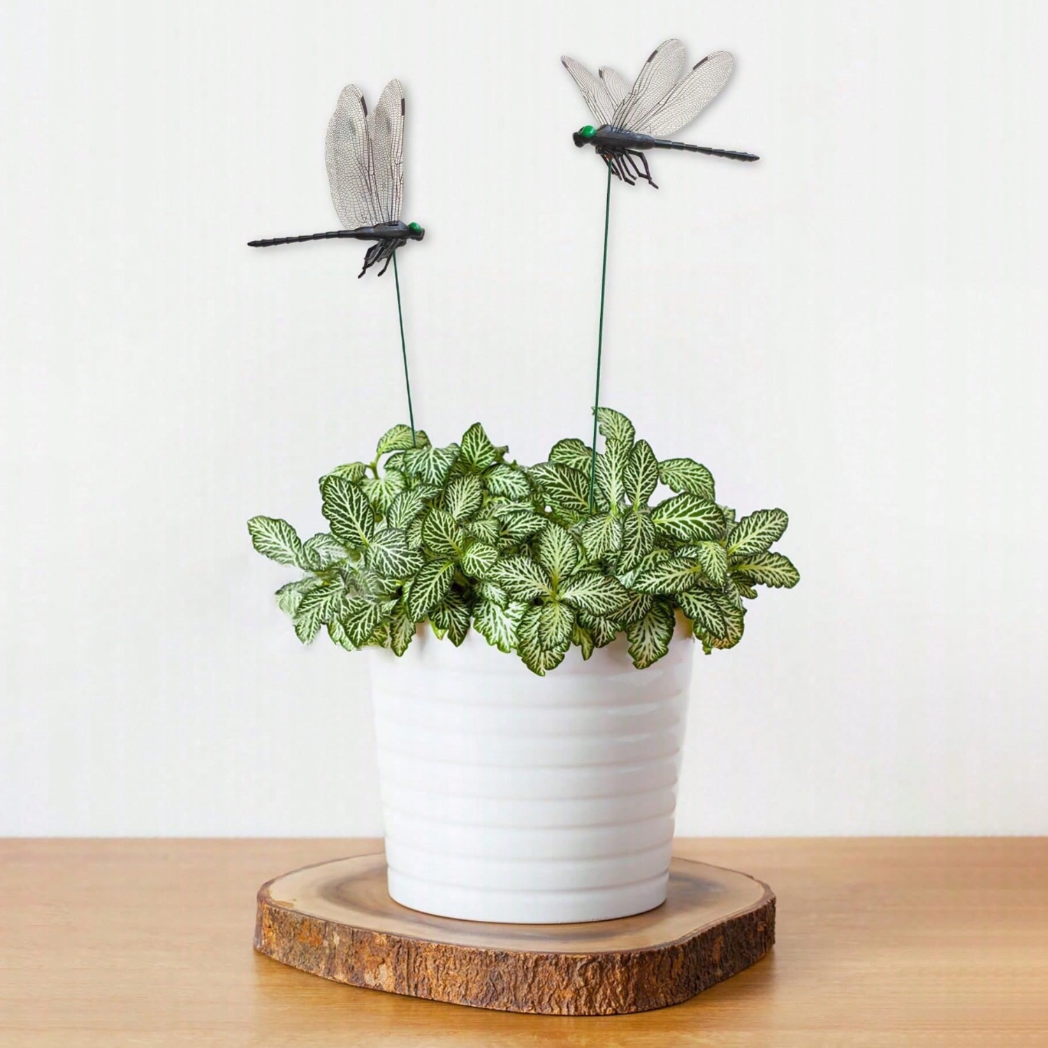 10개입 잠자리 장식품 S, 실물 같은 3D 대형 잠자 - 3D Printing Pot 리뷰 및 가격