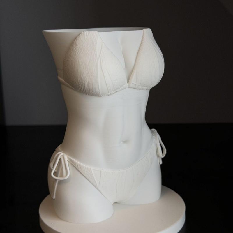 새로운 비키니 바디 펜 홀더 3D 프린팅 재미있는 질감 - 3D Printing Pot 리뷰 및 가격