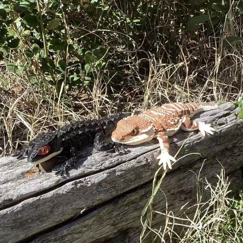 3D 인쇄 창조적 인 악어 도마뱀 파충류 모델 데스크탑 - 3D Printing Lizard 리뷰 및 가격