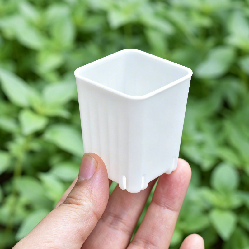 50-100Pcs 4cm 미니 두꺼운 흰색/투명 사각형 - 3D Printing Pot 리뷰 및 가격
