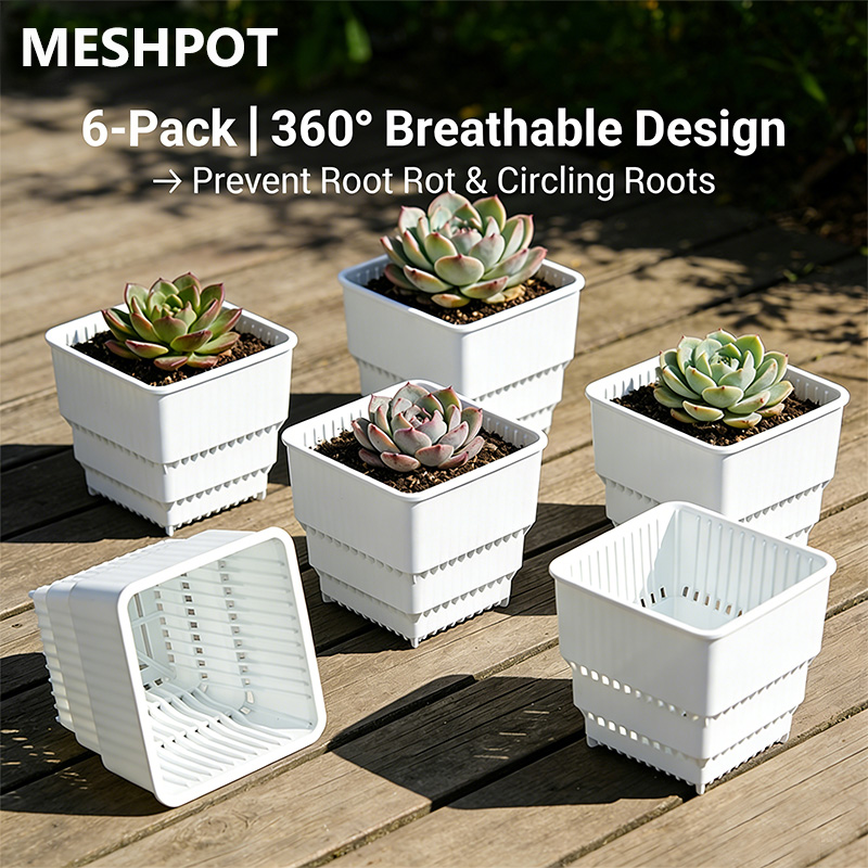 MESHPOT 다육식물 및 선인장용 사각 화분 6개 세 - 3D Printing Pot 리뷰 및 가격