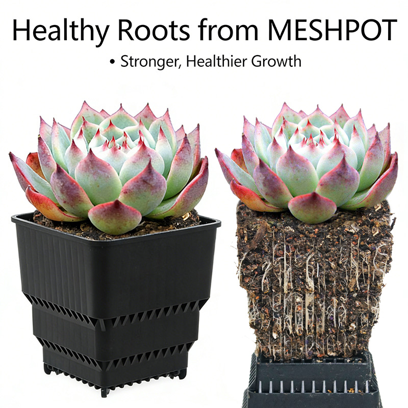 MESHPOT 다육식물 및 선인장용 사각 화분 6개 세 - 3D Printing Pot 리뷰 및 가격
